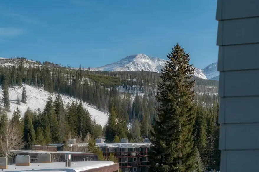 Mountainside with snows and tall evergreen trees