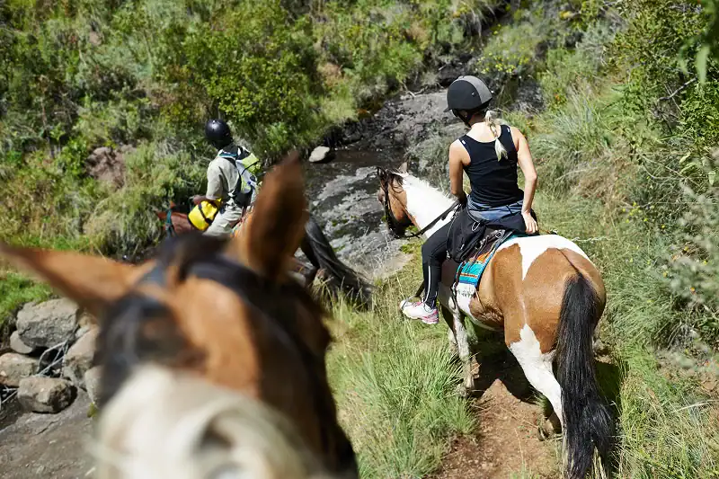 Two riders navigating a rocky trail