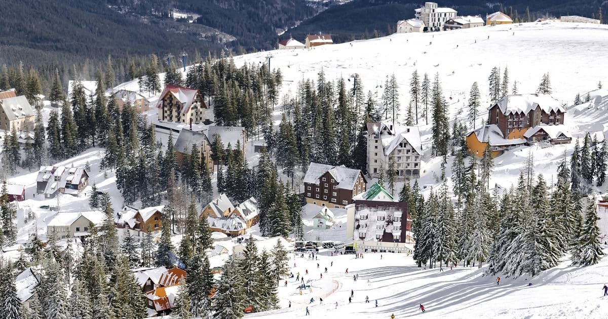 Snow-covered ski village with wooden buildings nestled in a mountain forest